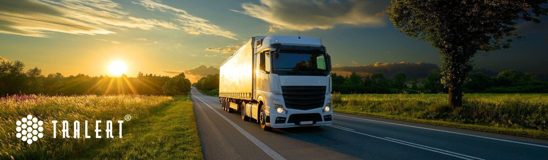 Maximum truck weight
