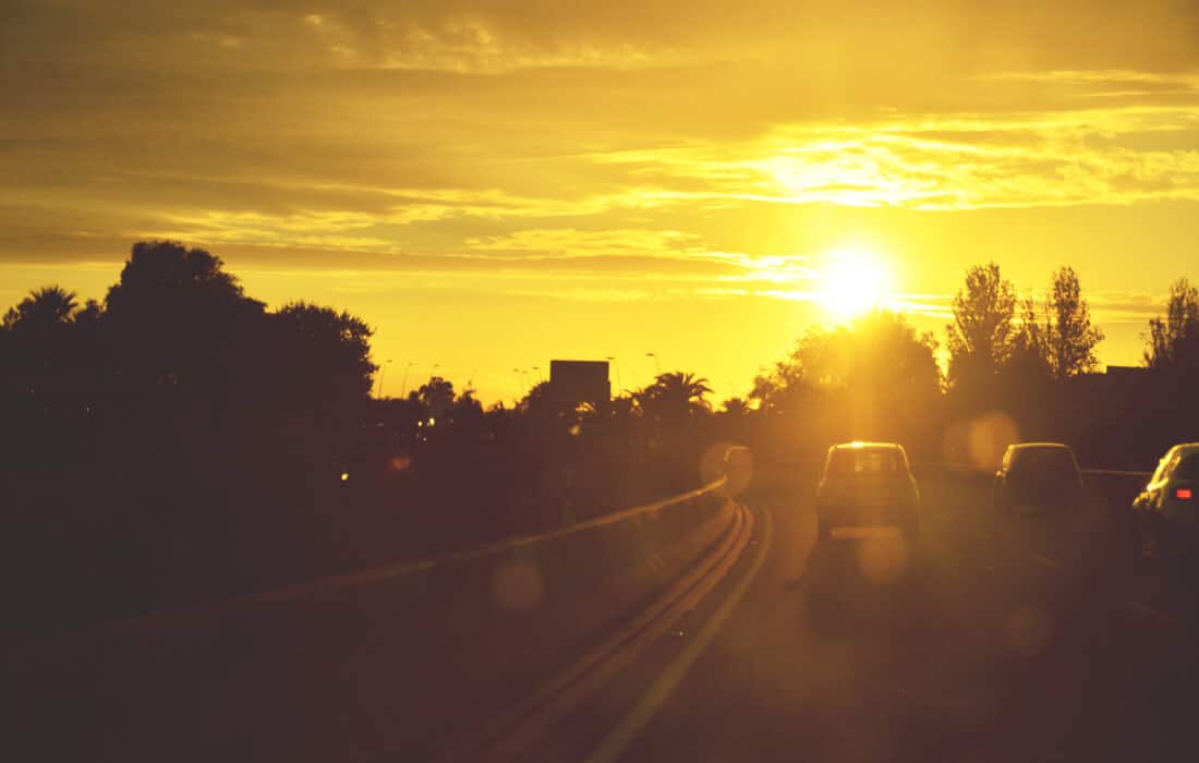Niedrige Sonnenblendung Tralert