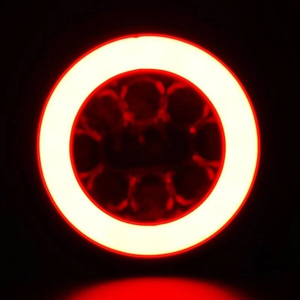 LED mistlicht met achterlicht | 12-36v | 5-PIN | V10C2-810B5-FT-111 LED BAJONET-V10C2-810B5-3