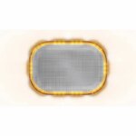 Compacte R65 minibar 12-24V zuignap montage | MLB246R65ACM-MM-MLB246R65ACM-MM-MLB246R65ACM-MM-3