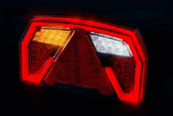 LED neon achterlicht links 12-24v - 6-PIN's-FT-372 NT L LED BAJONET 6PIN-VC-4651B6-2